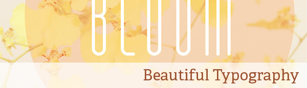 Art and Design Collections: Beautiful Typography Art and Design Collections: Beautiful Typography
