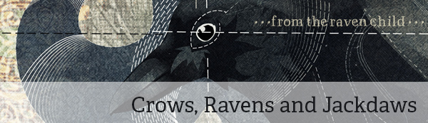Art and Design Collections: Crows, Ravens and Jackdaws Art and Design Collections: Crows, Ravens and Jackdaws