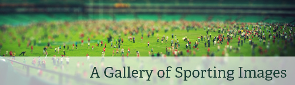 Art and Design Collections: Sporting Images Art and Design Collections: Sporting Images